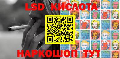 spice Камышлов