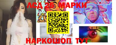 spice Камышлов