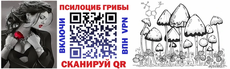 Псилоцибиновые грибы ЛСД даркнет сайт Кропоткин