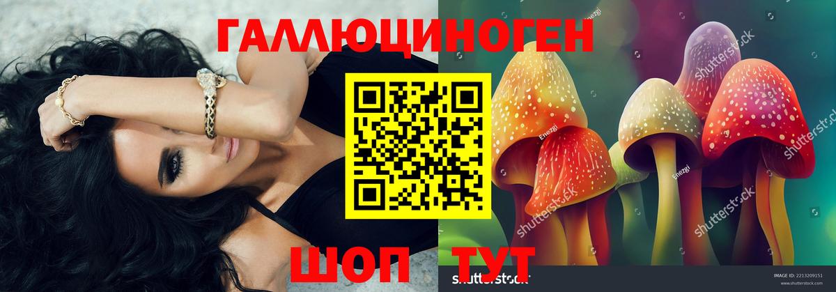 Кропоткин  Галлюциногенные грибы мухоморы  Вход с VPN 